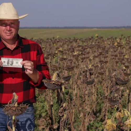 The Battle for Land: The Clash between Wealth and Local Farmers